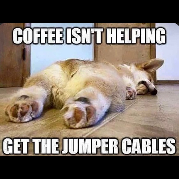 🌟CLOSED🌟 - Picture 12 of 15